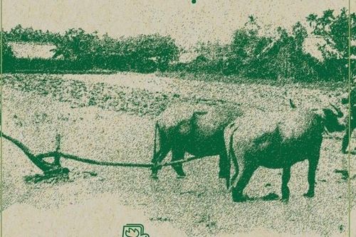 Quá trình khẩn hoang ở miền Nam hàng trăm năm