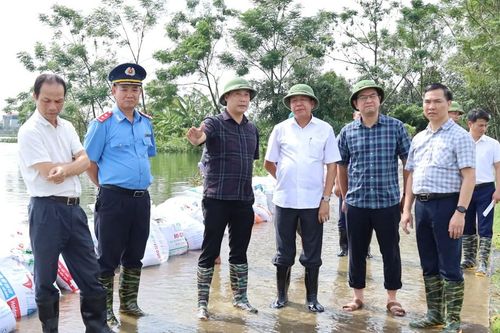 Phó Chủ tịch UBND TP Hà Nội thị sát công tác phòng, chống lũ tại Chương Mỹ