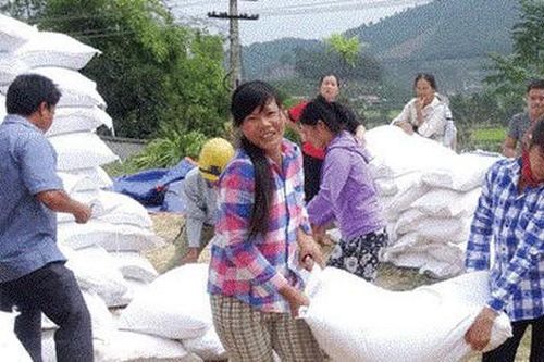 Triển khai xuất cấp gạo cho tỉnh Cao Bằng để hỗ trợ khắc phục thiệt hại do bão số 3
