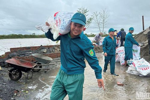 Quân dân tỉnh Thái Bình dốc sức xử lý sự cố đê, kè những ngày mưa bão lịch sử