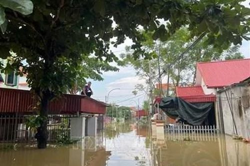 Ninh Bình dừng di dời người dân do lũ trên sông Hoàng Long đang xuống