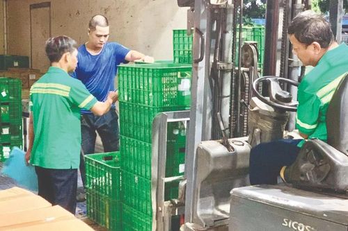 Đảm bảo hàng hóa cung cấp cho các tỉnh phía Bắc