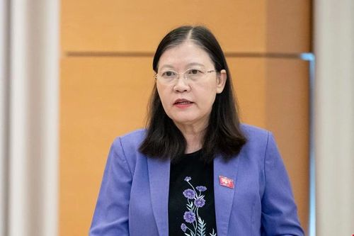 Pháp luật chưa chặt, người có thẩm quyền hướng dẫn doanh nghiệp 'lách luật' hoặc bỏ qua sai phạm