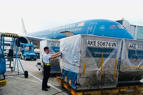 Cấp tập chuyến bay chuyển hàng ra Bắc hỗ trợ bà con