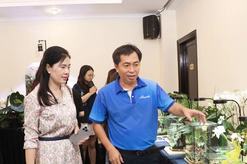 Khai mạc Triển lãm Hoa lan nghệ thuật năm 2024 tại TPHCM
