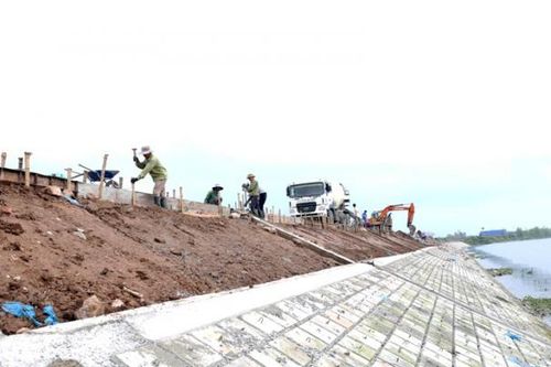 Thủ tướng yêu cầu Hà Nội chủ động bố trí ngân sách để nâng cấp hệ thống đê điều, thủy lợi