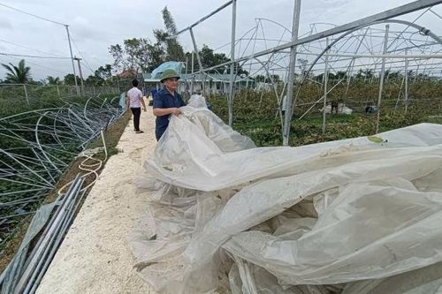 Hải Dương rút ngắn tối đa thời gian phê duyệt hồ sơ thiệt hại bão số 3