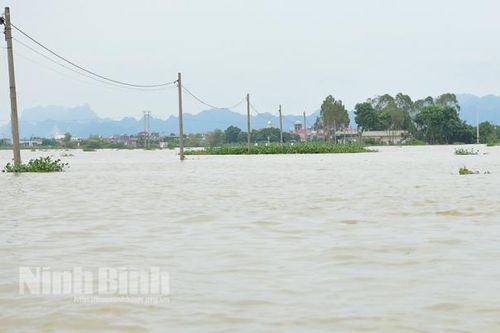 Lũ trên sông Hoàng Long và sông Đáy đang xuống, Ninh Bình dừng thực hiện Lệnh di dân