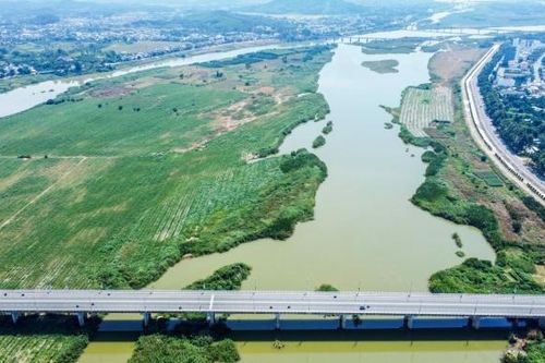 Quảng Ngãi yêu cầu rà soát tất cả các cầu trên địa bàn tỉnh