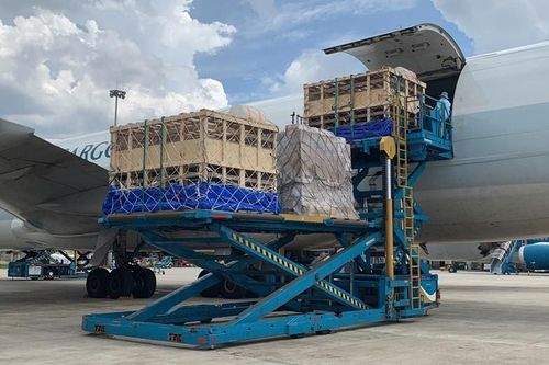 Greenfeed nhập khẩu 400 con heo giống từ đối tác PIC
