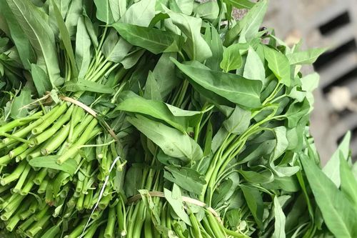 3 lưu ý khi bảo quản thực phẩm trong mùa bão lũ