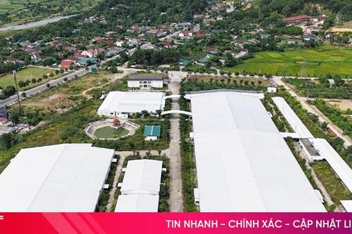 Tìm giải pháp gỡ khó cho Khu kinh tế Cửa khẩu quốc tế Cầu Treo