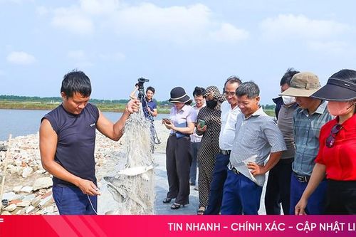 Nuôi thủy sản xen ghép cho lợi nhuận trên 250 triệu đồng/ha