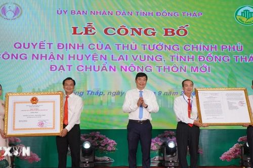 'Thủ phủ' quýt hồng của Đồng Tháp đạt chuẩn huyện nông thôn mới