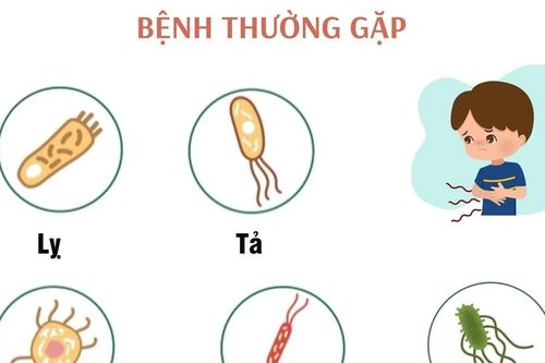 Các bệnh lây truyền qua đường tiêu hóa thường mắc sau bão lụt và mưa lũ