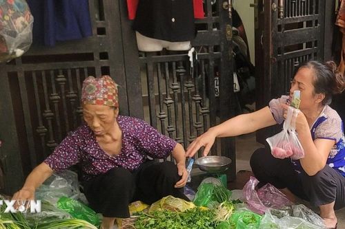 Hà Nội: Các mặt hàng thực phẩm dồi dào, ổn định sau mưa bão