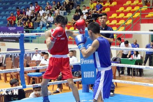 Khai mạc Giải vô địch Boxing toàn quốc năm 2024