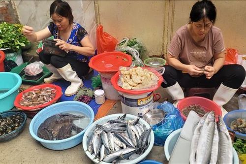 Hà Nội: Thực phẩm dồi dào, giá rau xanh 'hạ nhiệt' sau mưa bão