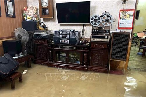 Người dân Nam Định chung tay bảo vệ đê, vệ sinh môi trường sau mưa lũ