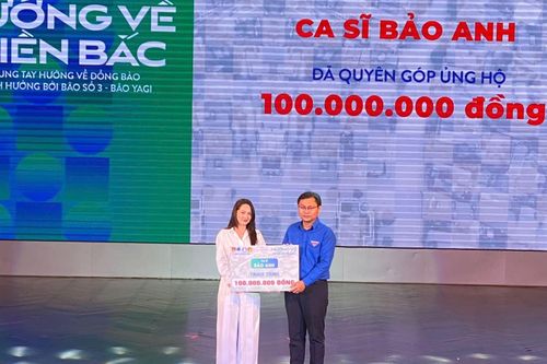 Văn nghệ sĩ TP Hồ Chí Minh chung tay góp sức hướng về miền Bắc