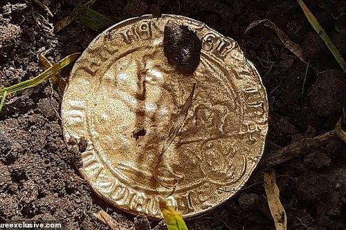 Dò kim loại, người phụ nữ tìm thấy 'kho báu' ở ngay trong vườn