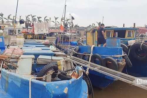Đi biển sau bão, ngư dân Đồ Sơn bán hải sản đắt gấp đôi