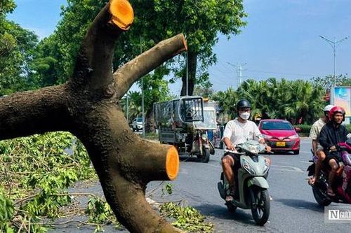 Hà Nội: Cây xanh gãy đổ vẫn ngổn ngang trên đường phố