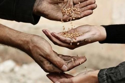 Chuyện ăn chặn tiền từ thiện ở nước ngoài