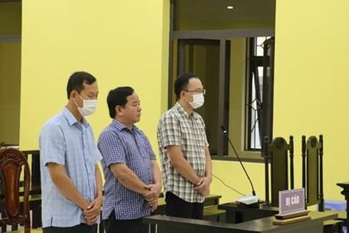 Cà Mau: Giám đốc công ty Thiện Thanh lãnh án vì làm giả tài liệu cơ quan tổ chức