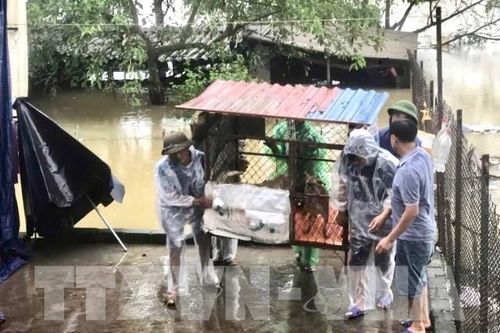 Hà Nội: Phân luồng tổ chức giao thông tại các vị trí bị ngập úng ở huyện Mỹ Đức