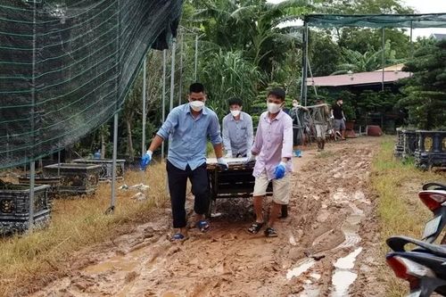 Vĩnh Phúc: 600 hộ dân di dời còn lại đã trở về nhà sau cơn bão số 3