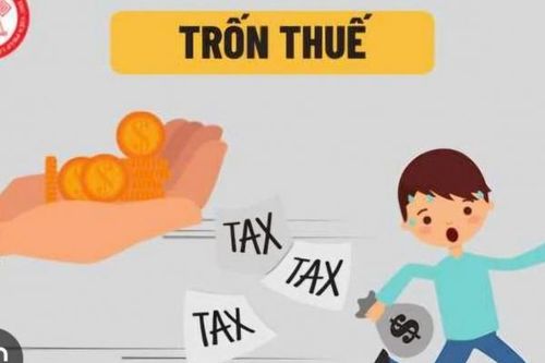 Đắk Nông: Khởi tố một nữ 'đại gia' bất động sản về hành vi trốn thuế