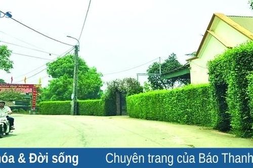 Làng Hội Hiền trên đất Tây Hồ