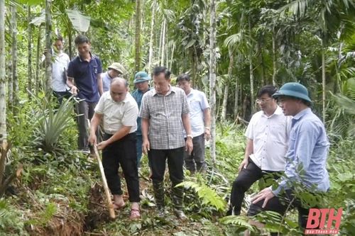 Lang Chánh chủ động phòng, chống sạt lở đất