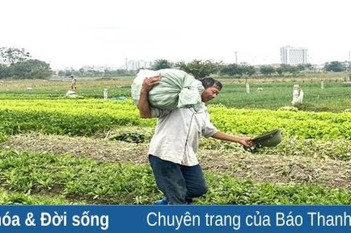 TP Thanh Hóa thiệt hại khoảng 1,35 tỷ đồng do ảnh hưởng của bão số 3