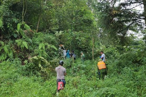 142 giáo viên, học sinh thoát nạn sập nhà bán trú