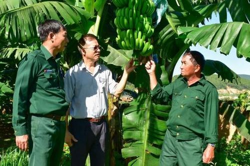 Động lực thúc đẩy cựu chiến binh phát triển kinh tế