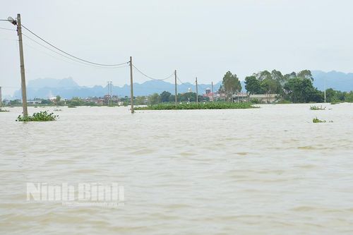 Ban Chỉ huy PCTT và TKCN tỉnh Ninh Bình thông báo về việc dừng thực hiện Lệnh di dân từ 14h ngày 13/9/2024