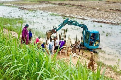 Phù Ninh: Gia cố đảm bảo an toàn các công trình thủy lợi, đê điều