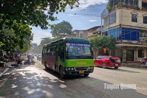 Người dân từng bước ổn định cuộc sống