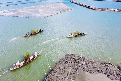 Từng bước nâng cấp các tuyến đê phục vụ sản xuất