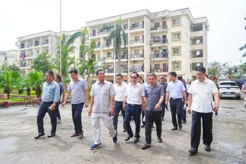 Hải Phòng: Ngừng sử dụng 41 chung cư cũ nguy hiểm cấp độ D