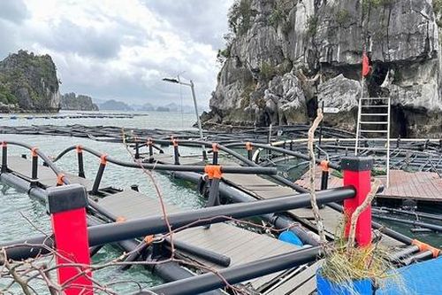 Cần thêm doanh nghiệp vào đối tượng được hỗ trợ do thiên tai, dịch bệnh