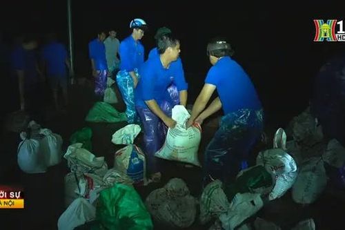 Thanh niên Hà Nội xuyên đêm hộ đê chống lũ