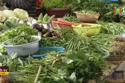 Giá cả các mặt hàng ngày 13/9