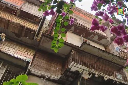 Thêm chung cư, công viên cây xanh tại phường Ngọc Khánh