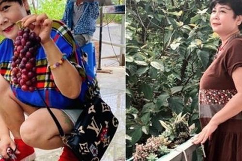 Sống một mình ở tuổi 63, NSND Minh Hằng vừa trải qua nỗi sợ trong bão, kể về thiệt hại khó lường ở nhà vườn