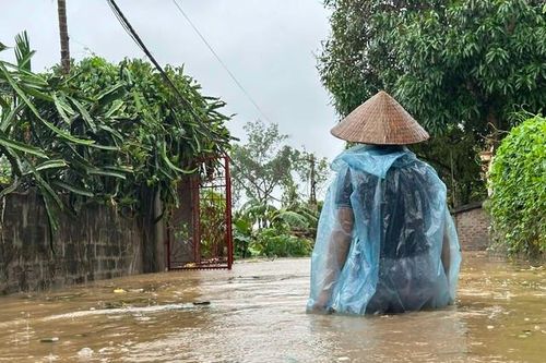 Nghiên cứu phương án giảm lũ từ Hòa Bình để chống ngập cho Hà Nội