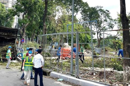 Hà Nội dự kiến 'cứu' khoảng 3 nghìn cây xanh bị gãy, đổ do bão số 3