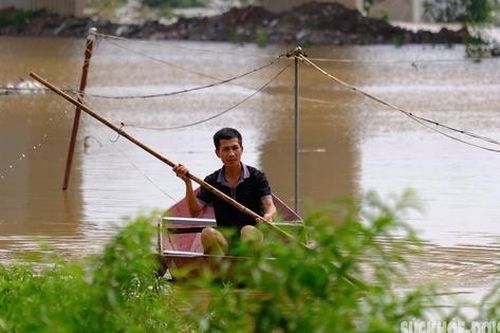 Hà Nội: Làng trồng đào có nguy cơ mất trắng do ảnh hưởng của lũ lụt